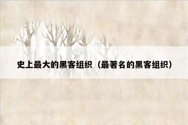 史上最大的黑客组织(最著名的黑客组织)