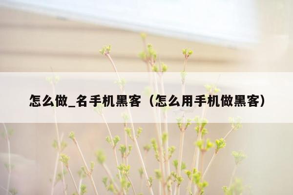 怎么做_名手机黑客(怎么用手机做黑客)