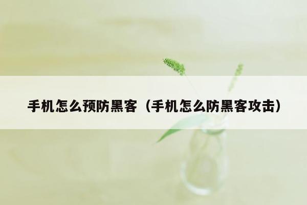 手机怎么预防黑客(手机怎么防黑客攻击)