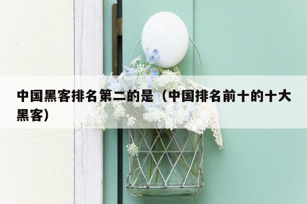 中国黑客排名第二的是(中国排名前十的十大黑客)