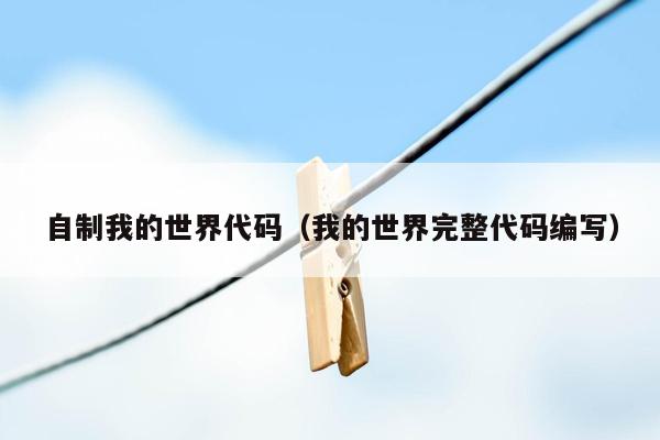 自制我的世界代码(我的世界完整代码编写)