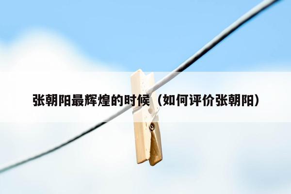 张朝阳最辉煌的时候(如何评价张朝阳)
