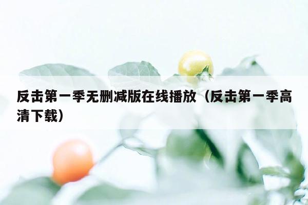 反击第一季无删减版在线播放(反击第一季高清下载)