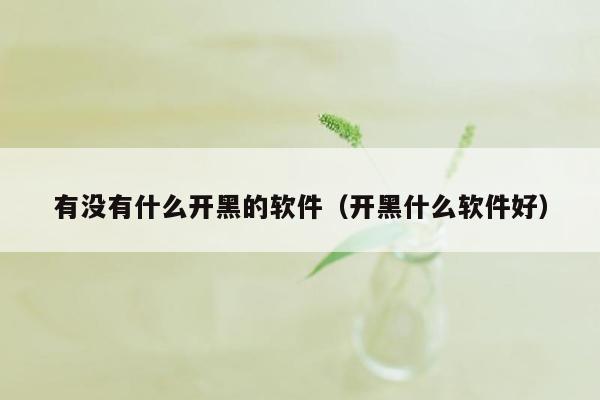 有没有什么开黑的软件(开黑什么软件好)