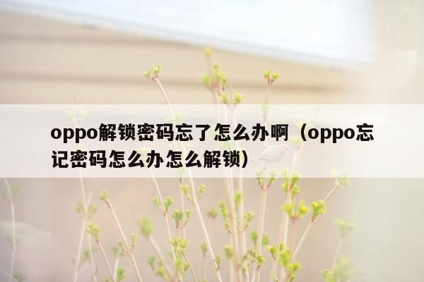 oppo解锁密码忘了怎么办啊(oppo忘记密码怎么办怎么解锁)