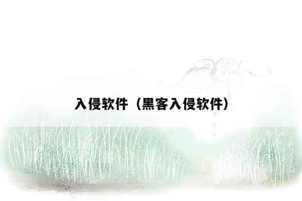 入侵软件(黑客入侵软件)