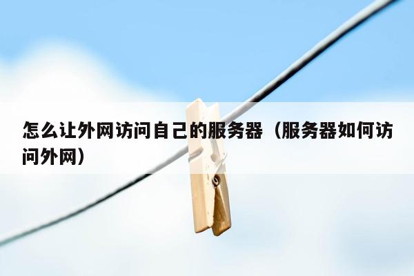 怎么让外网访问自己的服务器(服务器如何访问外网)