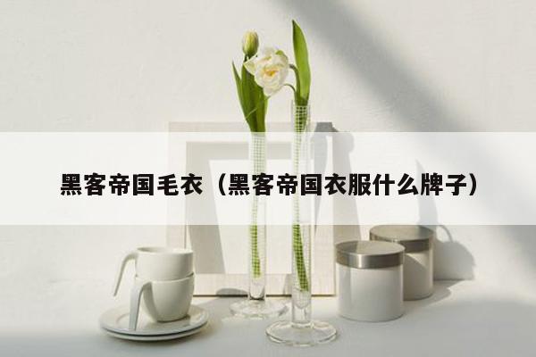 黑客帝国毛衣(黑客帝国衣服什么牌子)