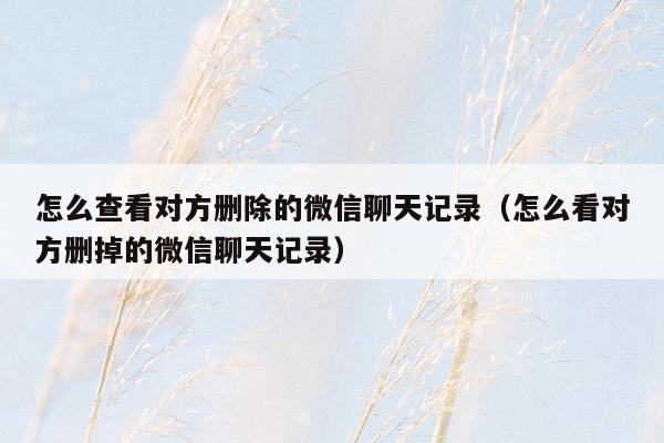 怎么查看对方删除的微信聊天记录(怎么看对方删掉的微信聊天记录)