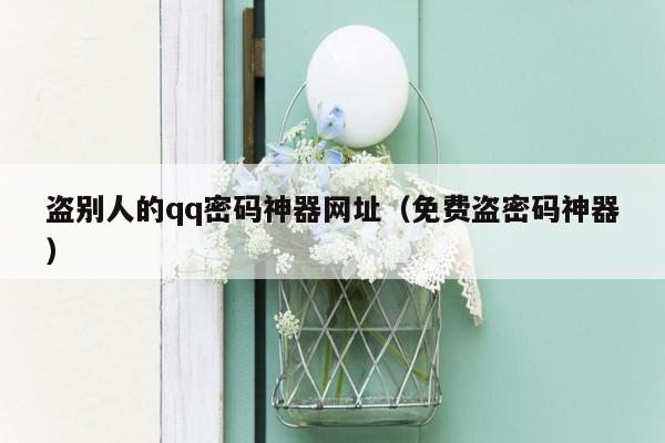 盗别人的qq密码神器网址(免费盗密码神器)