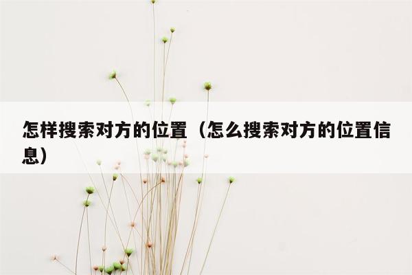 怎样搜索对方的位置(怎么搜索对方的位置信息)
