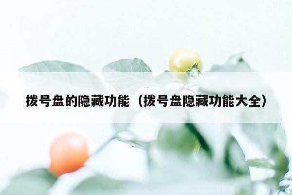 拨号盘的隐藏功能(拨号盘隐藏功能大全)