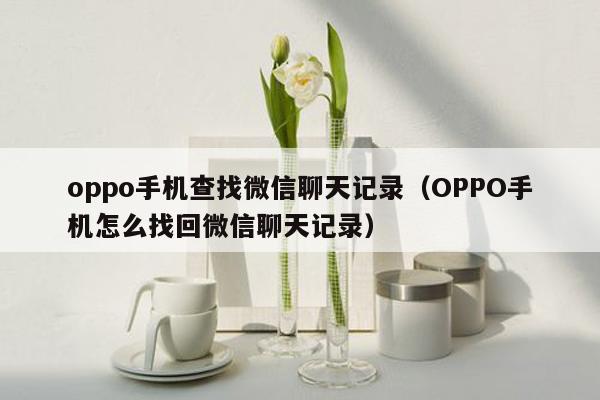 oppo手机查找微信聊天记录(OPPO手机怎么找回微信聊天记录)