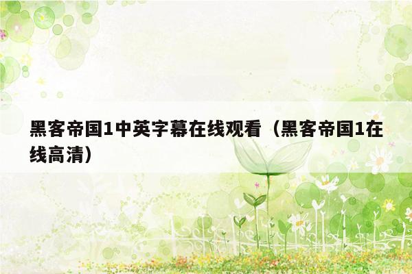 黑客帝国1中英字幕在线观看(黑客帝国1在线高清)