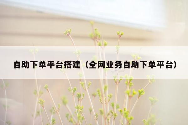 自助下单平台搭建(全网业务自助下单平台)