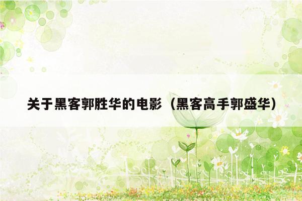 关于黑客郭胜华的电影(黑客高手郭盛华)