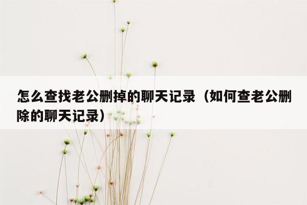 怎么查找老公删掉的聊天记录(如何查老公删除的聊天记录)