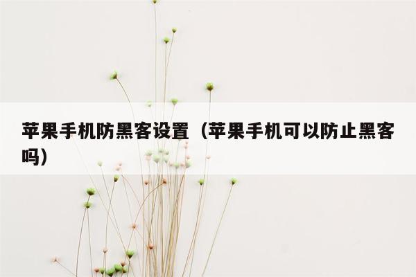 苹果手机防黑客设置(苹果手机可以防止黑客吗)