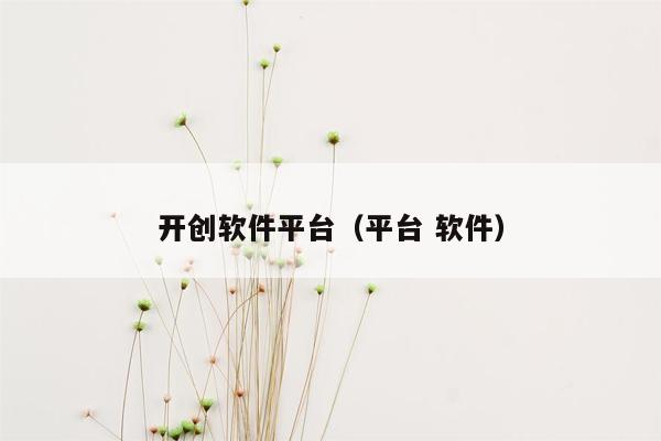 开创软件平台(平台 软件)
