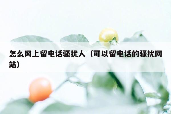 怎么网上留电话骚扰人(可以留电话的骚扰网站)