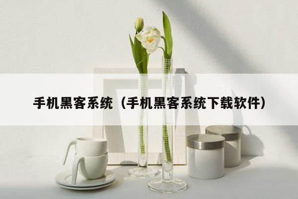 手机黑客系统(手机黑客系统下载软件)