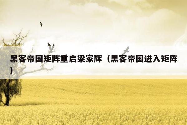 黑客帝国矩阵重启梁家辉（黑客帝国进入矩阵）