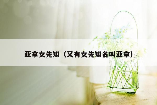 亚拿女先知(又有女先知名叫亚拿)