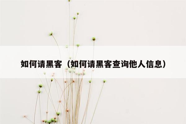 如何请黑客(如何请黑客查询他人信息)