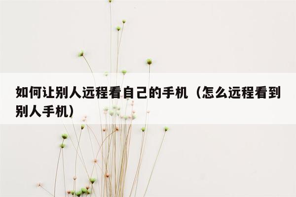 如何让别人远程看自己的手机(怎么远程看到别人手机)