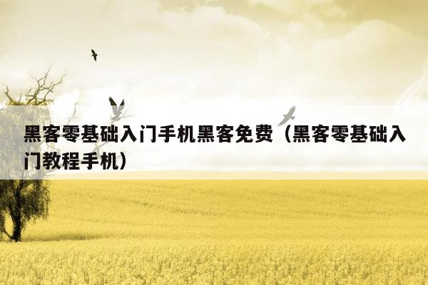 黑客零基础入门手机黑客免费(黑客零基础入门教程手机)