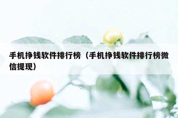 手机挣钱软件排行榜(手机挣钱软件排行榜微信提现)