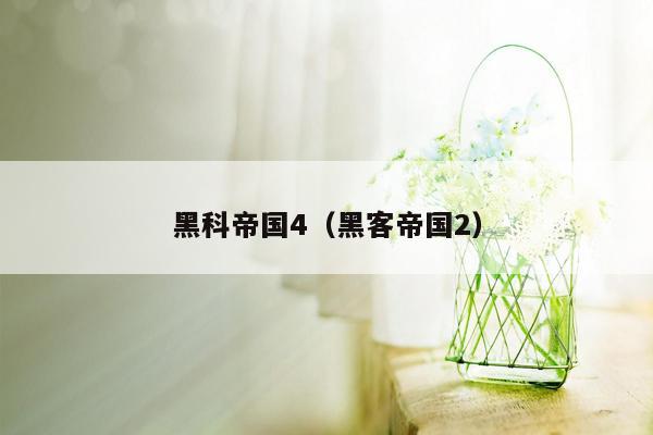 黑科帝国4(黑客帝国2)