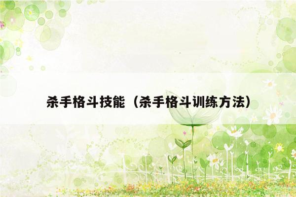 杀手格斗技能(杀手格斗训练方法)