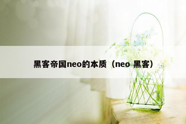 黑客帝国neo的本质(neo 黑客)