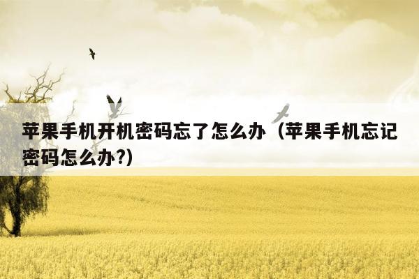 苹果手机开机密码忘了怎么办(苹果手机忘记密码怎么办?)