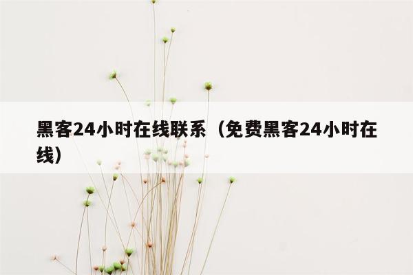 黑客24小时在线联系(免费黑客24小时在线)