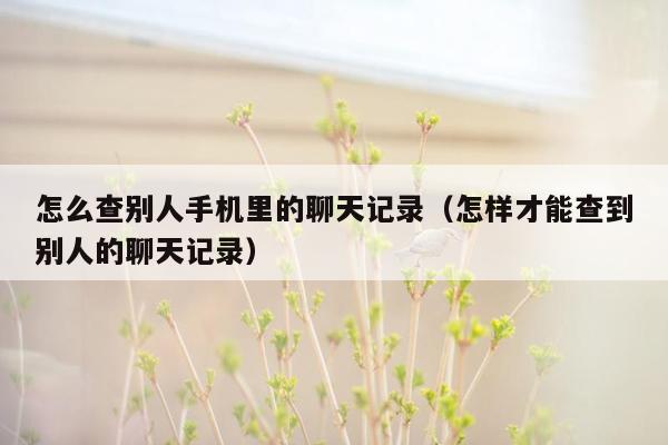 怎么查别人手机里的聊天记录(怎样才能查到别人的聊天记录)