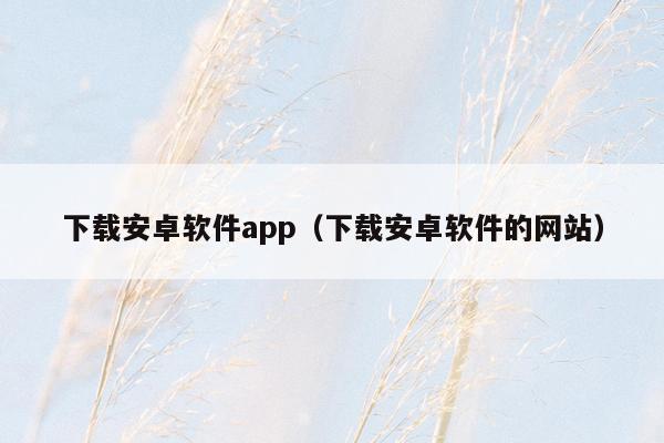 下载安卓软件app(下载安卓软件的网站)