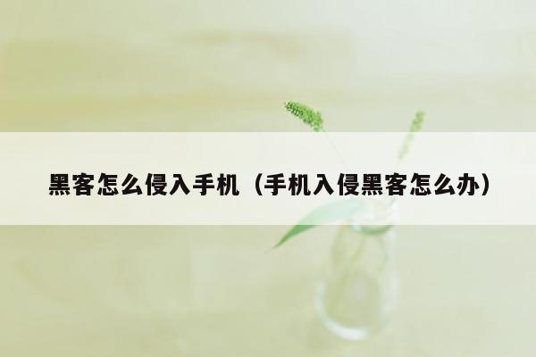 黑客怎么侵入手机(手机入侵黑客怎么办)