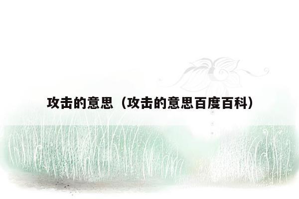 攻击的意思(攻击的意思百度百科)