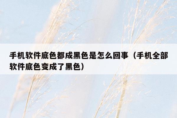 手机软件底色都成黑色是怎么回事(手机全部软件底色变成了黑色)