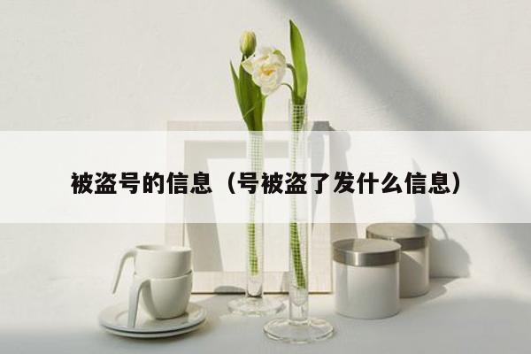 被盗号的信息(号被盗了发什么信息)