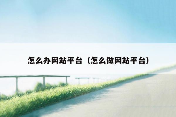 怎么办网站平台(怎么做网站平台)