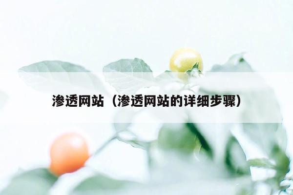 渗透网站(渗透网站的详细步骤)