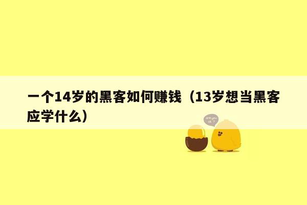 一个14岁的黑客如何赚钱(13岁想当黑客应学什么)