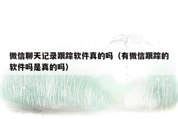 微信聊天记录跟踪软件真的吗(有微信跟踪的软件吗是真的吗)