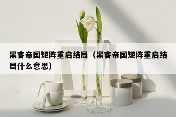 黑客帝国矩阵重启结局(黑客帝国矩阵重启结局什么意思)