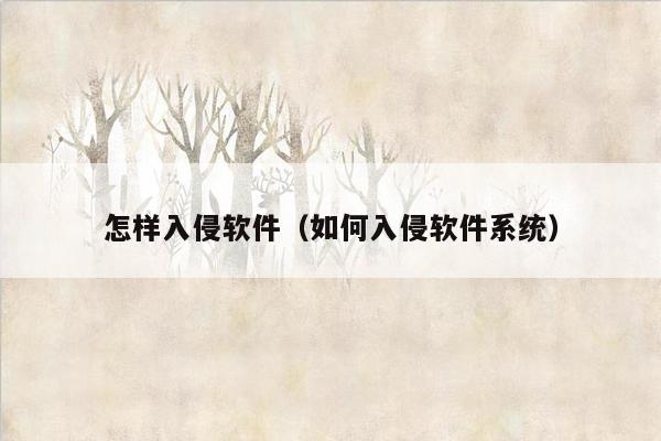 怎样入侵软件(如何入侵软件系统)