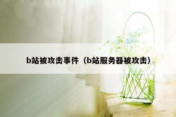 b站被攻击事件(b站服务器被攻击)