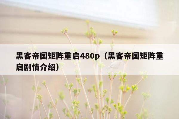 黑客帝国矩阵重启480p(黑客帝国矩阵重启剧情介绍)